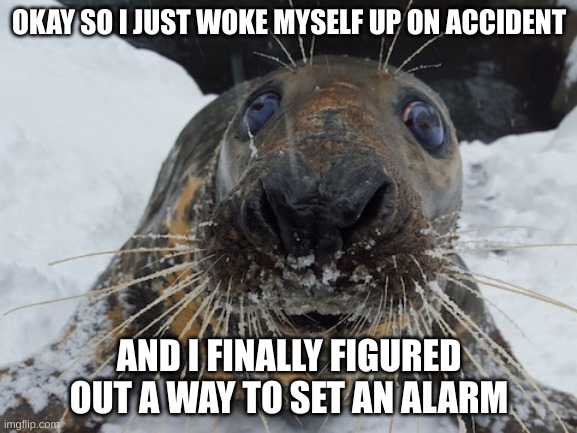 thank f**king god cuz the other one I have makes my ears bleed | OKAY SO I JUST WOKE MYSELF UP ON ACCIDENT; AND I FINALLY FIGURED OUT A WAY TO SET AN ALARM | image tagged in his name's bim bim | made w/ Imgflip meme maker