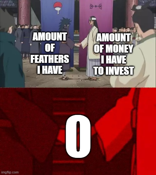 Naruto Handshake Meme Template | AMOUNT OF FEATHERS I HAVE; AMOUNT OF MONEY I HAVE TO INVEST | image tagged in naruto handshake meme template | made w/ Imgflip meme maker
