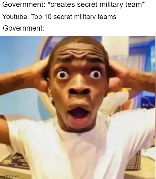 yt be like | Government: *creates secret military team*; Youtube: Top 10 secret military teams; Government: | image tagged in funny,surprised | made w/ Imgflip meme maker
