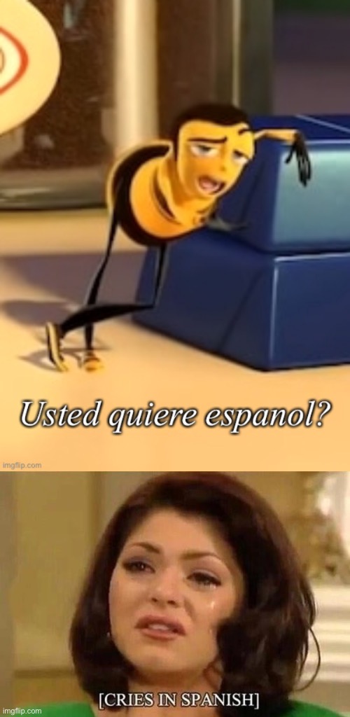 She Wants Spanish Imgflip