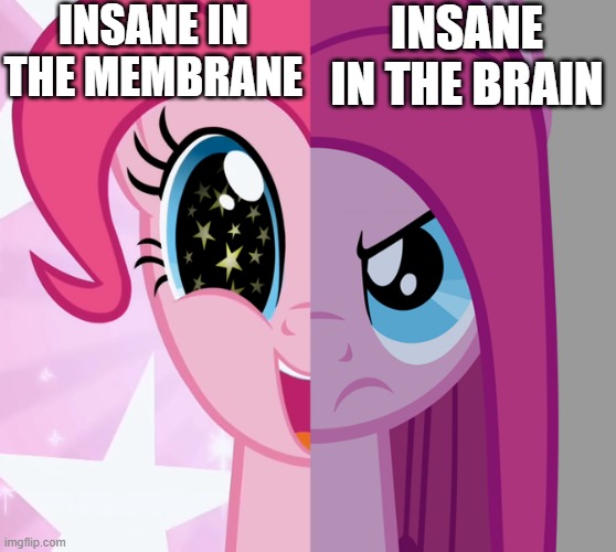 insane in the membrane :D | INSANE IN THE MEMBRANE; INSANE IN THE BRAIN | image tagged in mlp meme,mlp,cypress hill,music | made w/ Imgflip meme maker