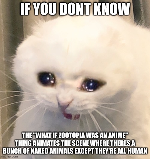 it's censored, obviously, but I found the uncensored and holy shit I wanna kms | IF YOU DONT KNOW; THE "WHAT IF ZOOTOPIA WAS AN ANIME" THING ANIMATES THE SCENE WHERE THERES A BUNCH OF NAKED ANIMALS EXCEPT THEY'RE ALL HUMAN | image tagged in screaming crying cat | made w/ Imgflip meme maker