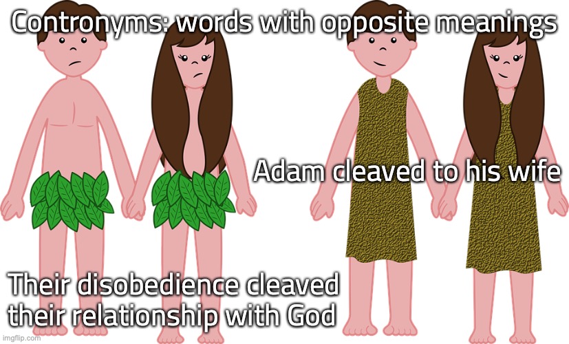 Cleaving to God | Contronyms: words with opposite meanings; Adam cleaved to his wife; Their disobedience cleaved their relationship with God | image tagged in no one will snatch them out of my hand,john ch 10 v 28 | made w/ Imgflip meme maker