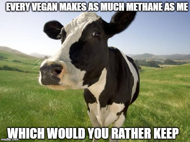 cow | EVERY VEGAN MAKES AS MUCH METHANE AS ME; WHICH WOULD YOU RATHER KEEP | image tagged in cow | made w/ Imgflip meme maker