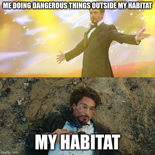 robert downey jr | ME DOING DANGEROUS THINGS OUTSIDE MY HABITAT; MY HABITAT | image tagged in robert downey jr | made w/ Imgflip meme maker