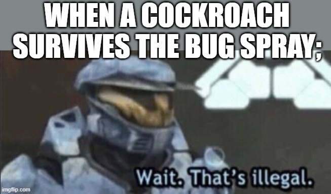 Wait that’s illegal | WHEN A COCKROACH SURVIVES THE BUG SPRAY; | image tagged in wait that s illegal | made w/ Imgflip meme maker