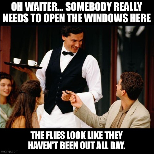Flies | OH WAITER... SOMEBODY REALLY NEEDS TO OPEN THE WINDOWS HERE; THE FLIES LOOK LIKE THEY HAVEN'T BEEN OUT ALL DAY. | image tagged in waiter | made w/ Imgflip meme maker