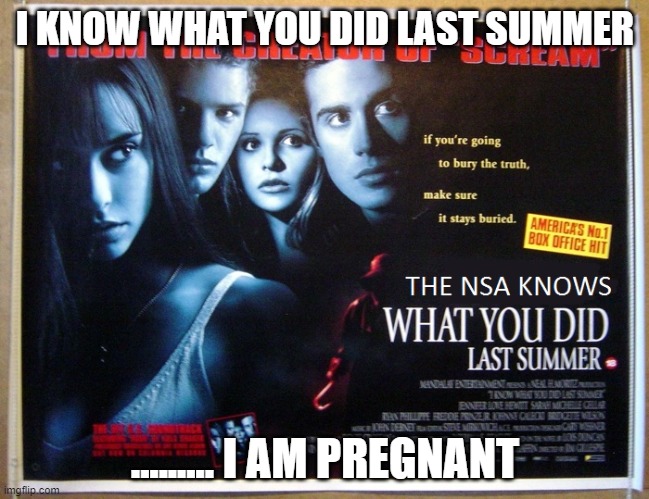 I know what you did last summer .... | I KNOW WHAT YOU DID LAST SUMMER; ......... I AM PREGNANT | image tagged in the nsa knows what you did last summer,last summer,funny memes,movies,fun | made w/ Imgflip meme maker
