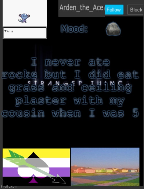 Arden the ace's template! | 🪨; I never ate rocks but I did eat grass and ceiling plaster with my cousin when I was 5 | image tagged in arden the ace's template | made w/ Imgflip meme maker