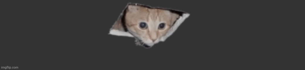 MemeCat | image tagged in memecat | made w/ Imgflip meme maker