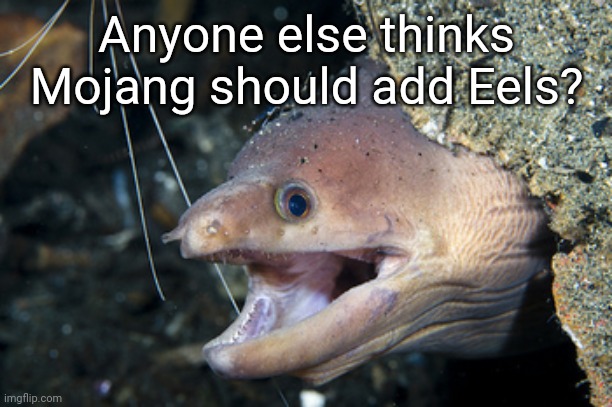 Yeet | Anyone else thinks Mojang should add Eels? | image tagged in happy eel | made w/ Imgflip meme maker