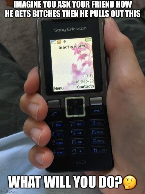 Sony Ericsson T280i meme | IMAGINE YOU ASK YOUR FRIEND HOW HE GETS BITCHES THEN HE PULLS OUT THIS; WHAT WILL YOU DO?🤔 | image tagged in sony,old,funny memes,memes | made w/ Imgflip meme maker