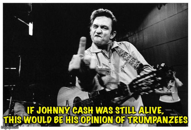 Country music's most famous lefty | IF JOHNNY CASH WAS STILL ALIVE, THIS WOULD BE HIS OPINION OF TRUMPANZEES | image tagged in johnny cash finger | made w/ Imgflip meme maker