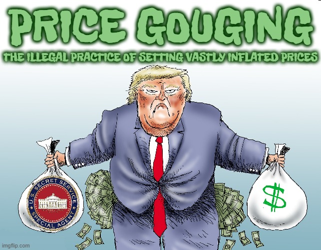 PRICE GOUGING | PRICE GOUGING; THE ILLEGAL PRACTICE OF SETTING VASTLY INFLATED PRICES | image tagged in price gouging,illegal,inflated,profiteering,exploit,crime | made w/ Imgflip meme maker