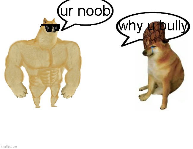 Buff Doge vs. Cheems | ur noob; why u bully | image tagged in memes,buff doge vs cheems | made w/ Imgflip meme maker