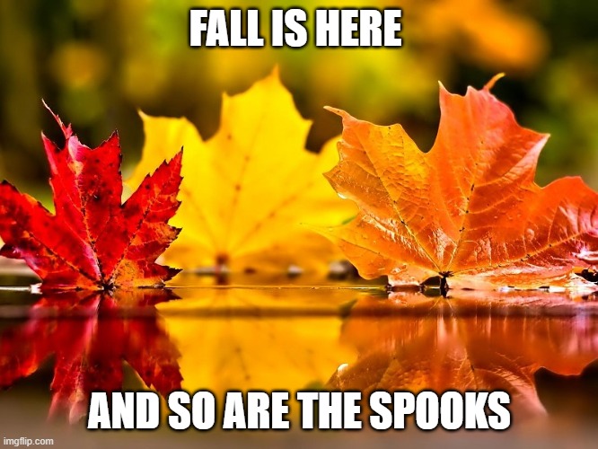 October | FALL IS HERE; AND SO ARE THE SPOOKS | image tagged in october | made w/ Imgflip meme maker