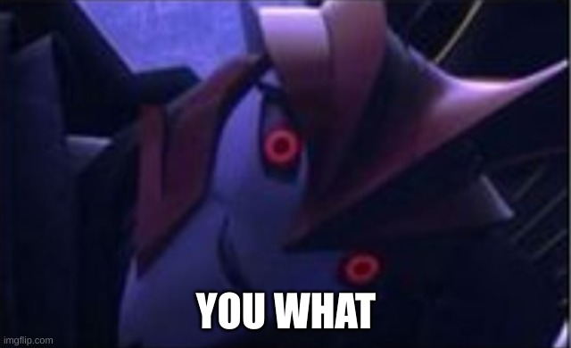 YOU WHAT | YOU WHAT | image tagged in you what | made w/ Imgflip meme maker