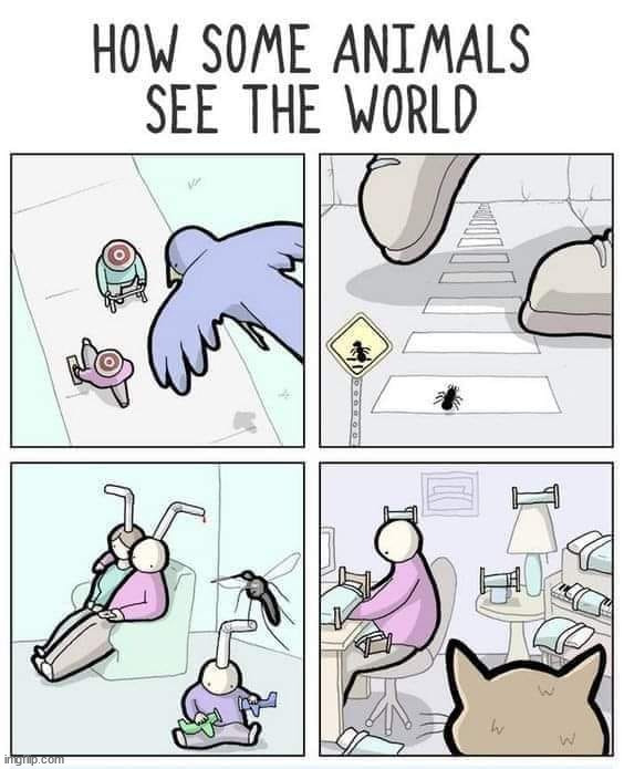 image tagged in comics | made w/ Imgflip meme maker