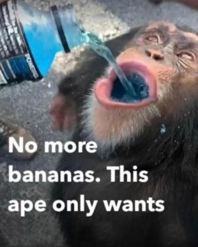 No more bananas Blank Meme Template