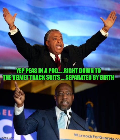 Democrats | YEP PEAS IN A POD…..RIGHT DOWN TO THE VELVET TRACK SUITS ….SEPARATED BY BIRTH | image tagged in al sharpton,rafael warnock | made w/ Imgflip meme maker