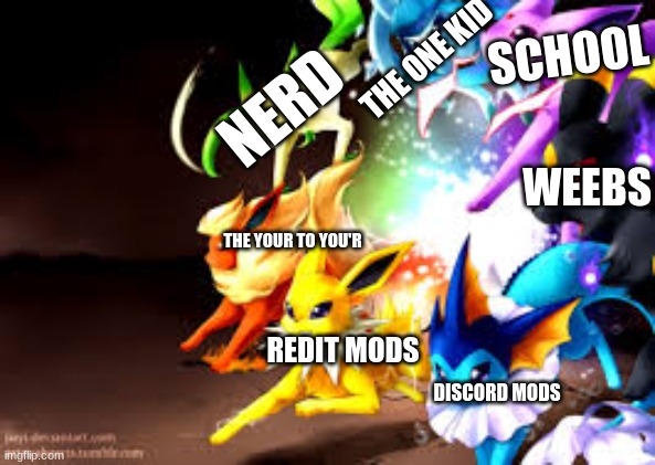 eevee team | SCHOOL; THE ONE KID; NERD; WEEBS; THE YOUR TO YOU'R; REDIT MODS; DISCORD MODS | image tagged in eevee team | made w/ Imgflip meme maker
