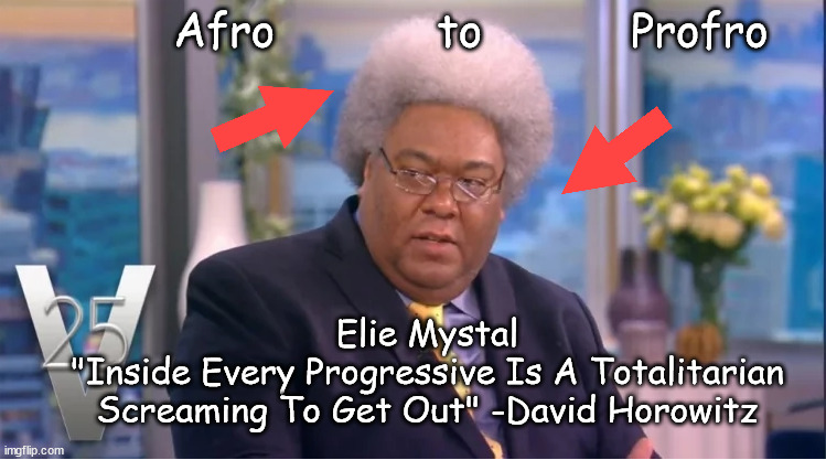 Afro to Profro | Afro            to           Profro; Elie Mystal
"Inside Every Progressive Is A Totalitarian Screaming To Get Out" -David Horowitz | image tagged in memes,politics | made w/ Imgflip meme maker