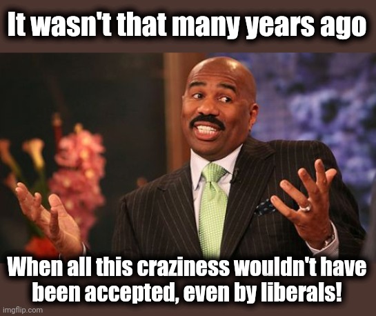 Steve Harvey Meme | It wasn't that many years ago When all this craziness wouldn't have
been accepted, even by liberals! | image tagged in memes,steve harvey | made w/ Imgflip meme maker