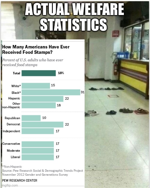 Took me 2 minutes to find out the truth | ACTUAL WELFARE STATISTICS | image tagged in politics,lies,stupid liberals,welfare,puppies and kittens | made w/ Imgflip meme maker