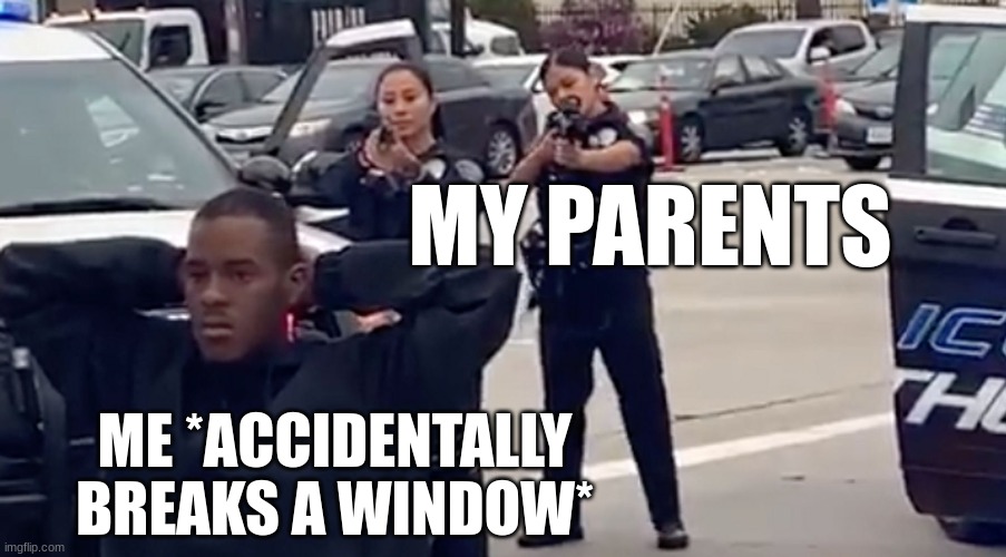 I have never done this but I'm pretty sure it would be along these lines if it were ever to come true. | MY PARENTS; ME *ACCIDENTALLY BREAKS A WINDOW* | image tagged in police guns drawn | made w/ Imgflip meme maker
