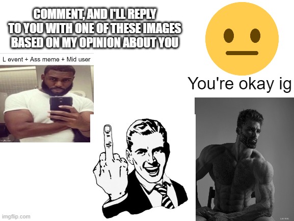 idk | COMMENT, AND I'LL REPLY TO YOU WITH ONE OF THESE IMAGES BASED ON MY OPINION ABOUT YOU; You're okay ig | image tagged in blank white template | made w/ Imgflip meme maker
