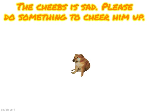 Cheeb sadness | The cheebs is sad. Please do something to cheer him up. | image tagged in blank white template,cheeb | made w/ Imgflip meme maker