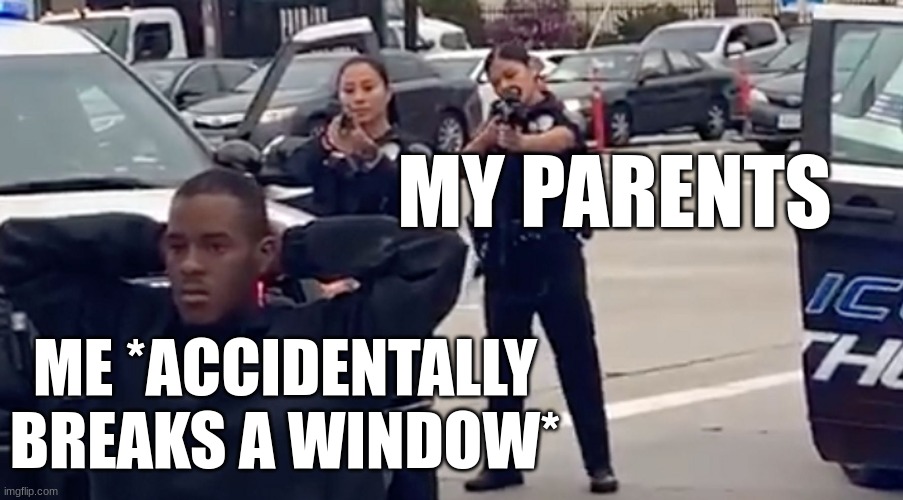 I have never done this, but it would be along these lines if it were ever to come true. | MY PARENTS; ME *ACCIDENTALLY BREAKS A WINDOW* | image tagged in police guns drawn | made w/ Imgflip meme maker