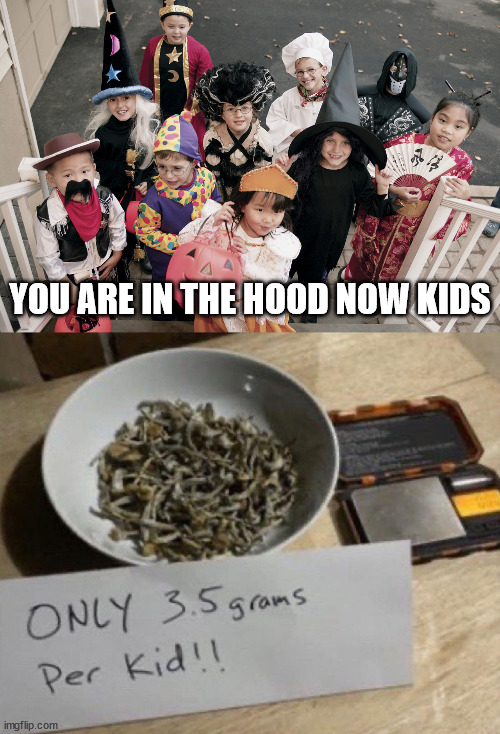 YOU ARE IN THE HOOD NOW KIDS | image tagged in trick or treat | made w/ Imgflip meme maker