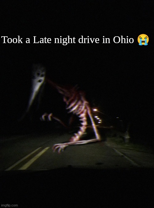 Took a Late night drive in Ohio 😭 | image tagged in funny memes,ohio,memes,scary,funny,funny meme | made w/ Imgflip meme maker