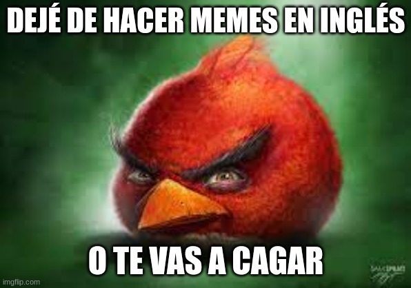 Realistic Red Angry Birds |  DEJÉ DE HACER MEMES EN INGLÉS; O TE VAS A CAGAR | image tagged in realistic red angry birds | made w/ Imgflip meme maker