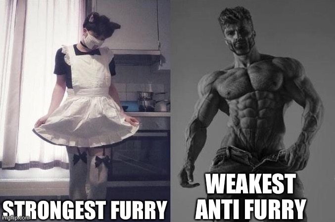 Strongest Fan VS Weakest Fan | STRONGEST FURRY; WEAKEST ANTI FURRY | image tagged in strongest fan vs weakest fan,anti furry,furry | made w/ Imgflip meme maker