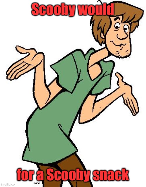 Shaggy from Scooby Doo | Scooby would for a Scooby snack | image tagged in shaggy from scooby doo | made w/ Imgflip meme maker