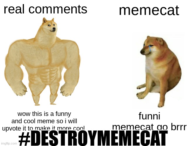 Buff Doge vs. Cheems | real comments; memecat; wow this is a funny and cool meme so i will upvote it to make it more cool; funni memecat go brrr; #DESTROYMEMECAT | image tagged in memes,buff doge vs cheems | made w/ Imgflip meme maker