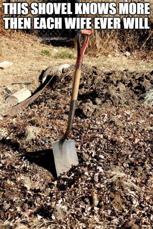 Shovel Dirt | THIS SHOVEL KNOWS MORE THEN EACH WIFE EVER WILL | image tagged in shovel dirt | made w/ Imgflip meme maker