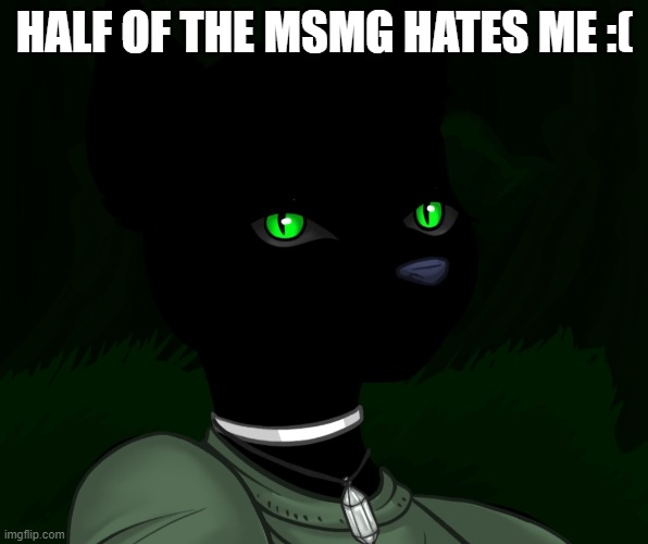 I think even more than half actually | HALF OF THE MSMG HATES ME :( | image tagged in my new panther fursona | made w/ Imgflip meme maker