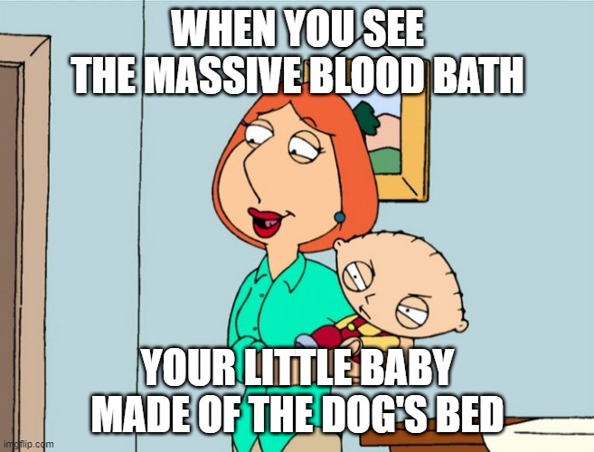Wait a minute, where's Brian? | WHEN YOU SEE THE MASSIVE BLOOD BATH; YOUR LITTLE BABY MADE OF THE DOG'S BED | image tagged in very confused,stewie griffin,lois griffin,family guy | made w/ Imgflip meme maker