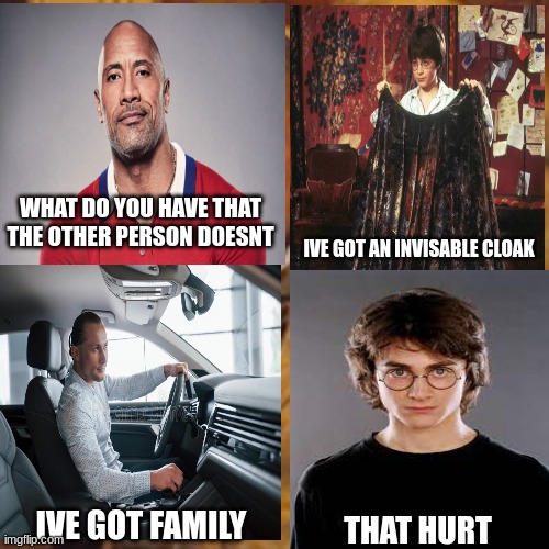 hatty potter | WHAT DO YOU HAVE THAT THE OTHER PERSON DOESNT; IVE GOT AN INVISABLE CLOAK; IVE GOT FAMILY; THAT HURT | image tagged in memes,laughing leo | made w/ Imgflip meme maker