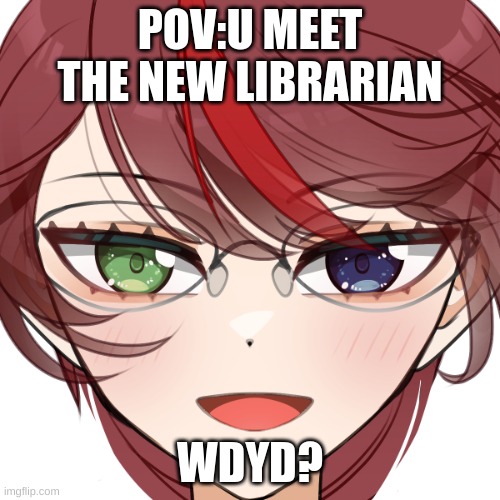 POV:U MEET THE NEW LIBRARIAN; WDYD? | made w/ Imgflip meme maker