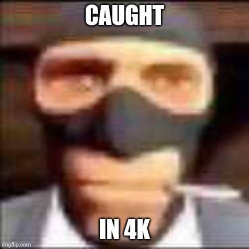 BONER POLICE | CAUGHT; IN 4K | image tagged in spi | made w/ Imgflip meme maker