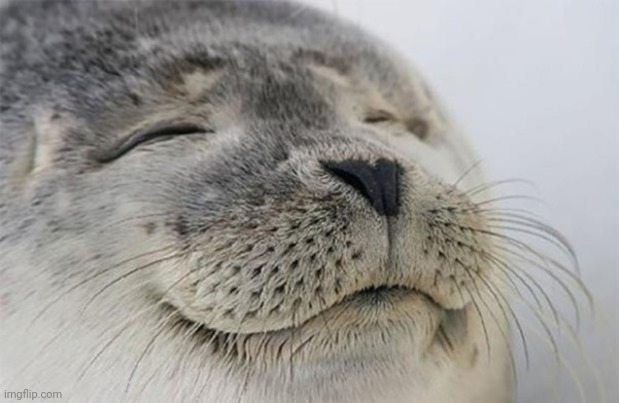 Wholesome Seal | image tagged in wholesome seal | made w/ Imgflip meme maker
