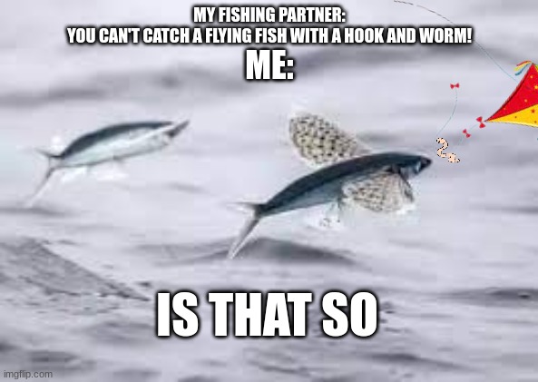 Fly fishing | MY FISHING PARTNER:
YOU CAN'T CATCH A FLYING FISH WITH A HOOK AND WORM! ME:; IS THAT SO | image tagged in fish | made w/ Imgflip meme maker