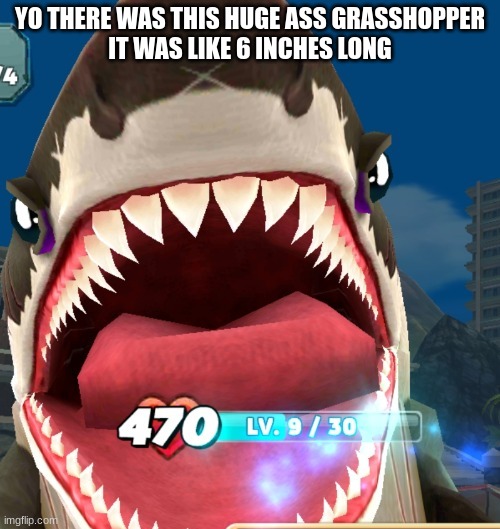 Megalodon Screaming | YO THERE WAS THIS HUGE ASS GRASSHOPPER
IT WAS LIKE 6 INCHES LONG | image tagged in megalodon screaming | made w/ Imgflip meme maker