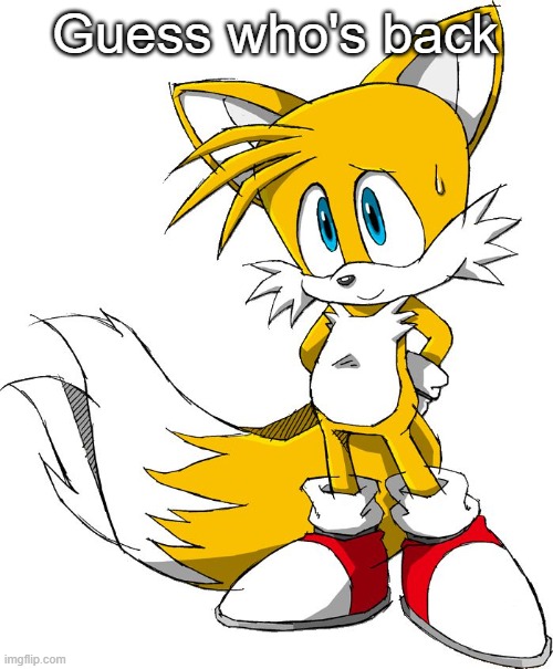 Guess who's back | image tagged in tails | made w/ Imgflip meme maker