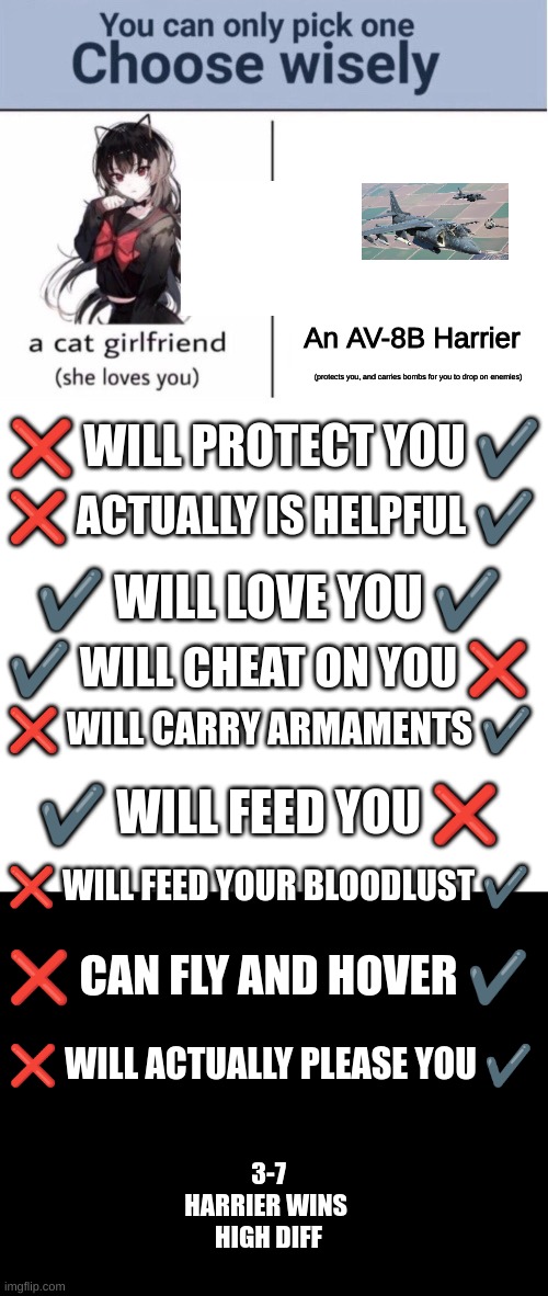 Choose.... Wisely | An AV-8B Harrier; (protects you, and carries bombs for you to drop on enemies); ❌ WILL PROTECT YOU ✔️; ❌ ACTUALLY IS HELPFUL ✔️; ✔️ WILL LOVE YOU ✔️; ✔️ WILL CHEAT ON YOU ❌; ❌ WILL CARRY ARMAMENTS ✔️; ✔️ WILL FEED YOU ❌; ❌ WILL FEED YOUR BLOODLUST ✔️; ❌ CAN FLY AND HOVER ✔️; ❌ WILL ACTUALLY PLEASE YOU ✔️; 3-7

HARRIER WINS 
HIGH DIFF | image tagged in choose wisely,blank white template,blank black,fighter jet | made w/ Imgflip meme maker