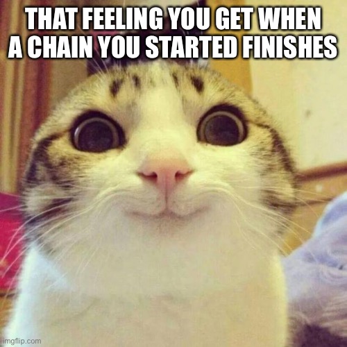 Smiling Cat | THAT FEELING YOU GET WHEN A CHAIN YOU STARTED FINISHES | image tagged in memes,smiling cat | made w/ Imgflip meme maker